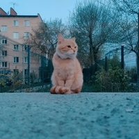 Dmitriy Philipencko
