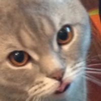 Sergey Bolshakov