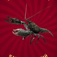 Кирилл Никехин