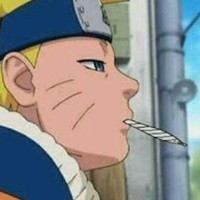 Animefan1