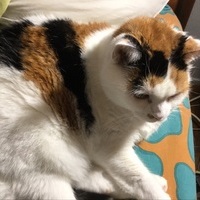 Coralie channel