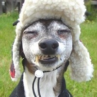 Дмитрий Яшуков