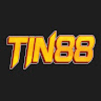 TIN88