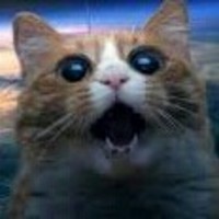UniverseCat3