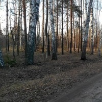Юра Керуй