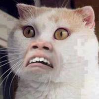 limitless mind (qevxo) 