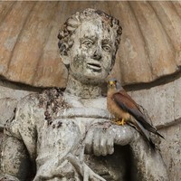 God Tier Movie/Game Music 