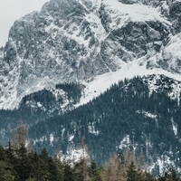 Great Coubs Here