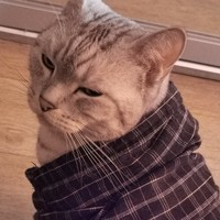 Мария Руденко