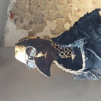 Shadzi