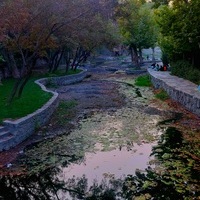 alibina_ir