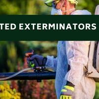 unitedexterminatorsmd