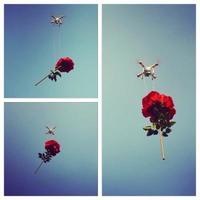 SannDRONE