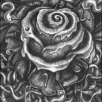 Александр Хотько