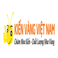 vanchuyenkienvangvn