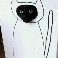 Николай Соковнин