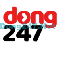 dong247