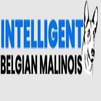 Belgian Malinois Puppies For Sale