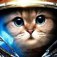Fistcat