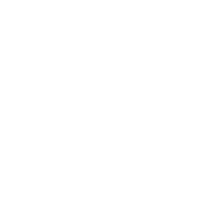 HollowSlayer