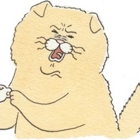 Антон Логинов