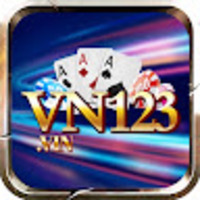 vn123vin