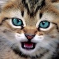 JustPalmoliveDestroyer123