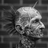 Punk For Prunk