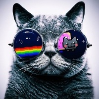 trololoxD
