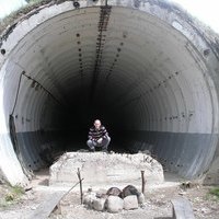 Nikolay Trapeznikov