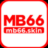 mb66 skin