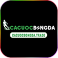 Cá Cược Bóng Đá