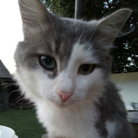 Arsenoun