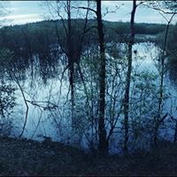 Andrey Dubinin