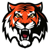 HC Amur