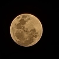 BusterMoon