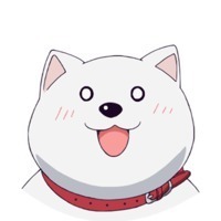 Happy puppy