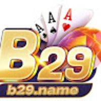 b29