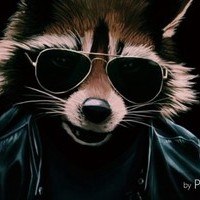 Антон Трофимов