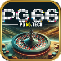 pg66tech