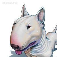 Арсений Ковальков