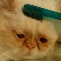 Никита Глазков