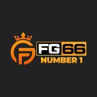 Fg66 io