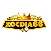 XOCDIA88 STREAM