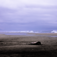 awalkintherain