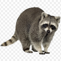 EnotFedor