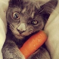 Дмитрий Брунилин