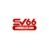 SV66