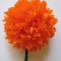 Flor de muerto