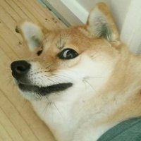 IEATpeople4FUN